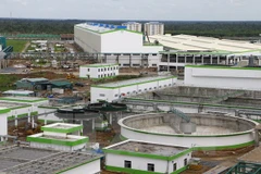 Vietnam y Estados Unidos exploran oportunidad de cooperación en bioenergía