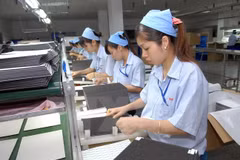 Vietnam prioriza desarrollo de sector privado en economía nacional