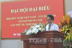 Asociación de Amistad Vietnam-España comprometida a profundizar nexos binacionales