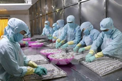 En alza exportaciones de productos acuícolas de Vietnam 