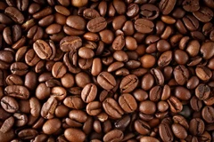 Rebaja de arancel de Brasil ofrece oportunidad a sector cafetero vietnamita 
