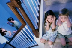 Vietnam moviliza participación de organizaciones sociales en protección infantil