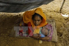 Australia ofrece asistencia humanitaria a Rohingyas en Myanmar