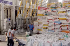 Exportaciones de arroz de Laos decrecen en 42 por ciento en primer semestre de 2017 