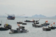 Desafíos y orientación de la conservación marina en Vietnam