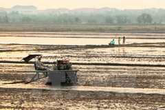 Vietnam y UNICEF por reducir efectos de desastres naturales en niños 