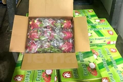 Frutas vietnamitas penetran en supermercados en Australia