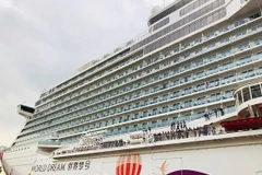 Gran crucero trae mayor número de pasajeros a destinos atractivos en Vietnam