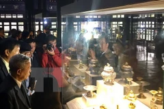 Presentan en Hanoi arte de la porcelana contemporánea de Hungría 