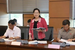 Parlamento vietnamita revisa Ley de Planificación y solución de deudas malas