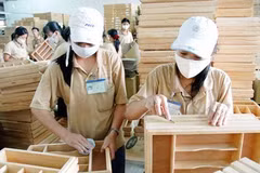 Participarán empresas extranjeras en feria del sector maderero de Vietnam 