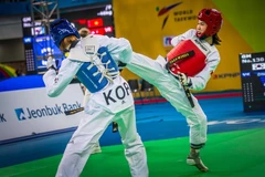 Histórica medalla para Vietnam en Mundial de taekwondo en Sudcorea