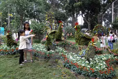 Más de 800 mil personas asistieron a Festival de Flores en Ciudad Ho Chi Minh 