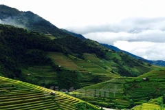 Terrazas de arroz de Mu Cang Chai, un lugar donde reina la belleza 