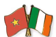 Ciudad Ho Chi Minh e Irlanda cooperan en formación en tecnologías de la información