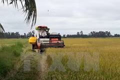 Sector agrícola por alcanzar meta de crecimiento de 3,5 por ciento este año 
