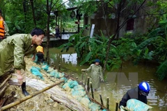  Continúan en Vietnam actividades de apoyo a víctimas de inundaciones