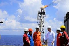 PetroVietnam produce 9,23 millones de toneladas de petróleo en siete meses