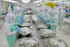 Exportaciones de mariscos vietnamitas alcanzarán ocho mil millones de dólares en 2017