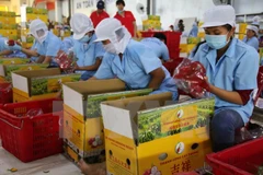 Vietnam prevé exportar frutas y verduras por tres mil millones de dólares en 2017 