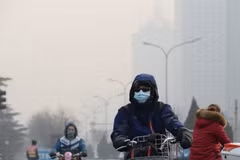 Indonesia asegura a sus vecinos de ASEAN que no habrá problemas de neblina 