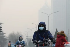 Indonesia asegura a sus vecinos de ASEAN que no habrá problemas de neblina 