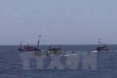 Prohibición de pesca de China en aguas de Vietnam no tiene valor