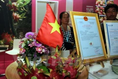  Pitahaya vietnamita presente en el Feria internacional de Berlín