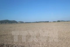 ADB concede asistencia millonaria a Vietnam para desarrollo de urbes verdes 