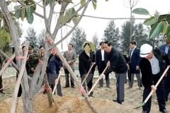 Presidente vietnamita urge a impulsar la plantación de árboles