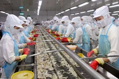 Provincia vietnamita de Tay Ninh logró atraer gran inversión a zonas industriales 