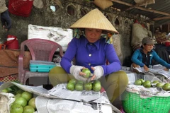 Provincia sudvietnamita exportará primer lote de caimito a Estados Unidos
