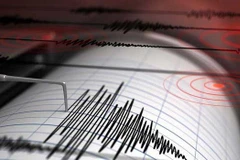 Sismo de 6,8 grados sacude provincia de Indonesia 