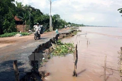 Ciudad Ho Chi Minh: Reducción de gases de efecto invernadero aliviará polución 