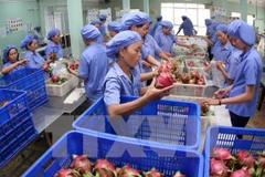 Exportaciones de vegetales y frutas de Vietnam prevén alcanzar valor multimillonario