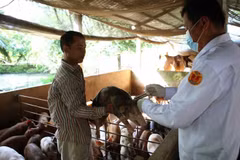 Piden a China levantar prohibición de importación de carne de cerdo de Vietnam
