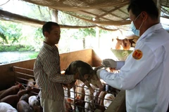 Piden a China levantar prohibición de importación de carne de cerdo de Vietnam