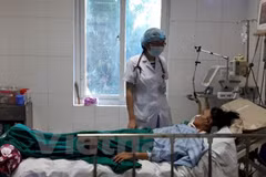 Aumentan casos de dengue en Hanoi