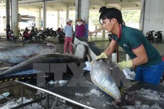 Vietnam invierte en reestructuración del sector acuícola