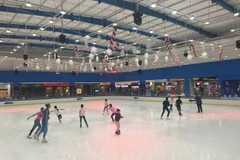 Vietnam participará en Juegos Asiáticos de Invierno