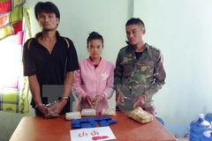 Policía de Vietnam decomisa 12 mil cápsulas de drogas sintéticas 
