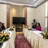 La delegación vietnamita sostiene una reunión bilateral con representantes de los Emiratos Árabes Unidos (Fuente: VNA)