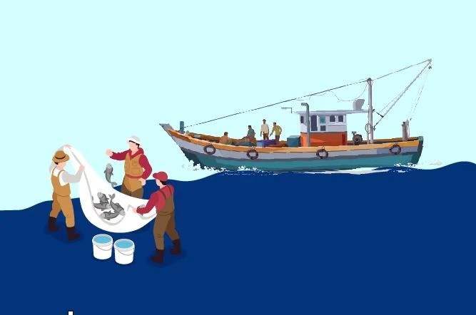 Medidas urgentes para subsanar deficiencias en lucha contra pesca ilegal