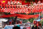 La calle Hang Ma, en el barrio de Hoan Kiem (Hanói), está cubierta de banderas rojas con estrellas doradas. (Fuente: VNA)