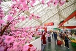 Feria de Primavera atrae a más de 32 mil visitantes. (Fuente: VTCNews)