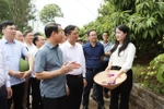 El Ministro de Agricultura y Medio Ambiente, Do Duc Duy, el presidente del Comité Popular Provincial, Nguyen Viet Oanh, y los delegados visitaron el modelo de producción de exportación de lichi en la comuna de Phuc Hoa, distrito de Tan Yen. (Foto: ITN)