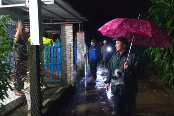 El vicepresidente del Comité Popular de la ciudad de Da Nang, Tran Nam Hung, inspecciona los graves deslizamientos de tierra en la Ruta Nacional 40B. (Foto: VNA)