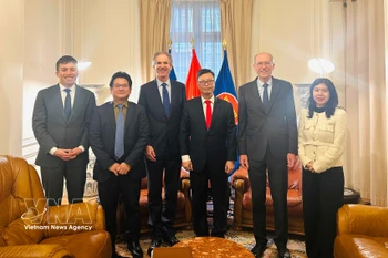 Vietnam y Francia trazan nuevas direcciones para impulsar la cooperación económica bilateral (Foto: VNA)