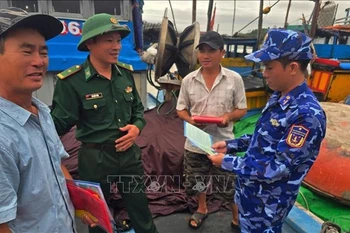 La ciudad controvietnamita de Da Nang refuerza las medidas contra la pesca ilegal. (Foto: VNA)