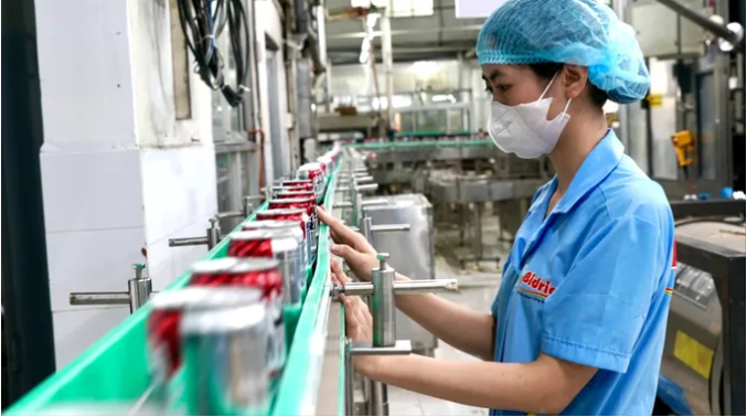 La producción en la empresa Bidrico. (Fuente: sggp.org.vn) 